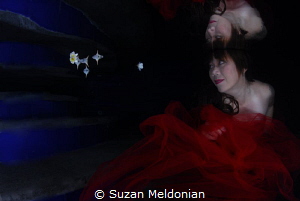 Lady in Red by Suzan Meldonian 